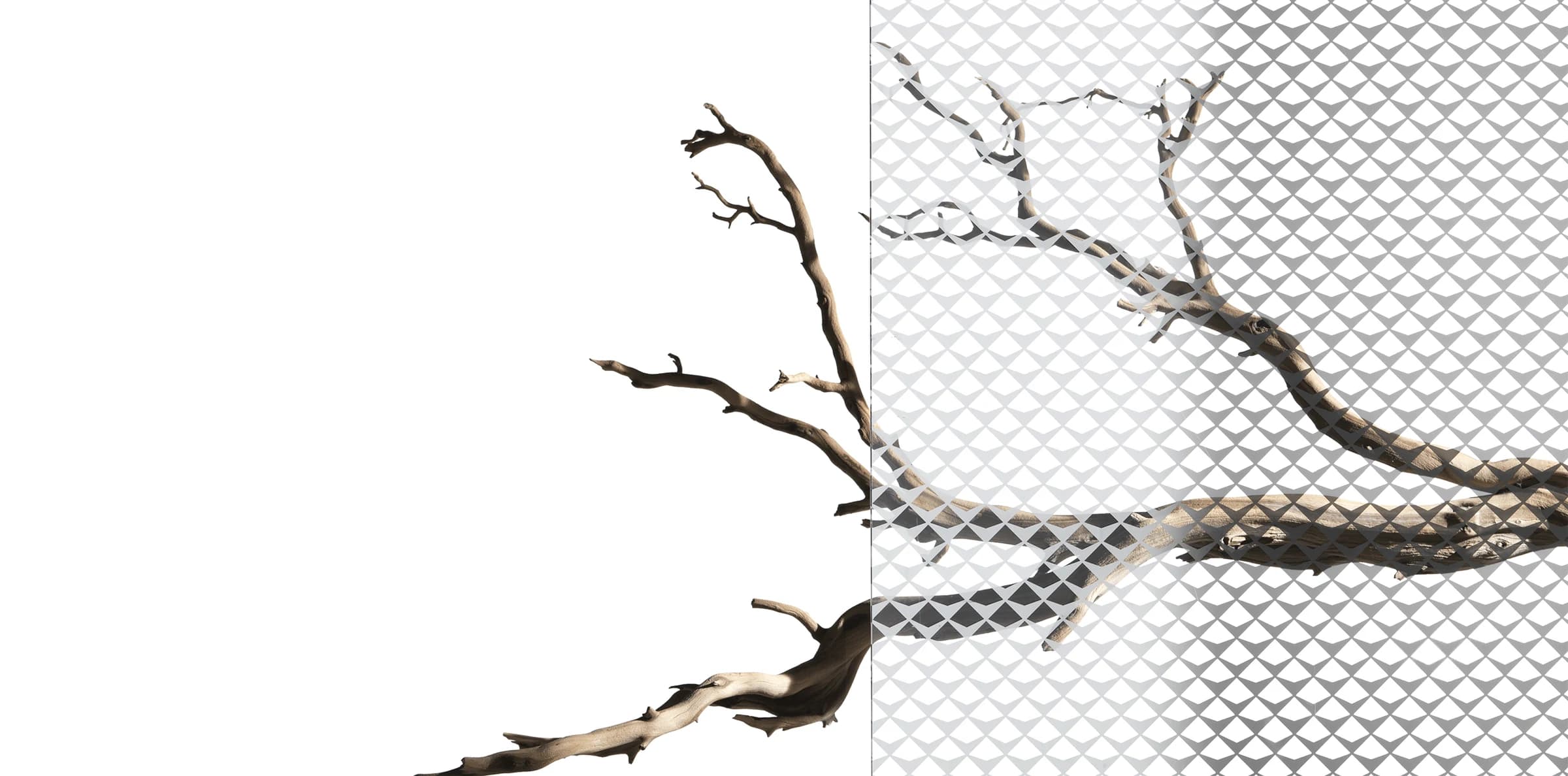 A quiet composition of branches seen through a geometric glass pattern